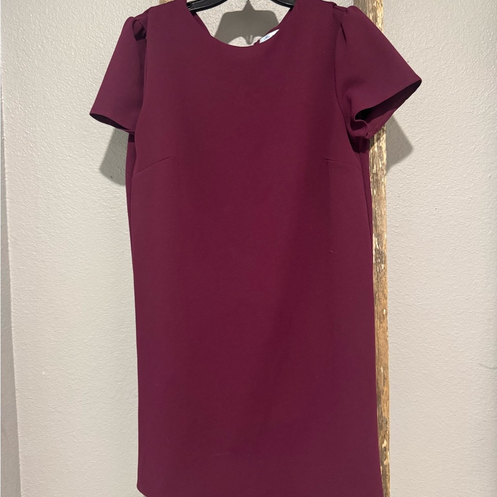 Elegant Magenta Dress